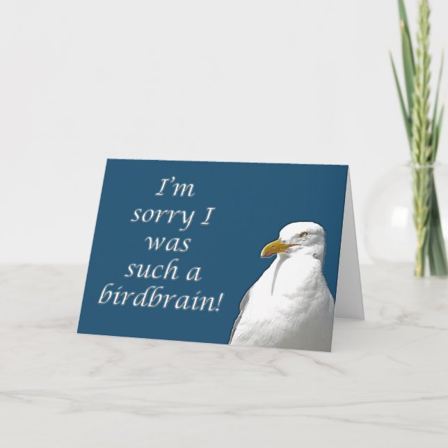 Black-Backed Gull I'm Sorry Card (Front)