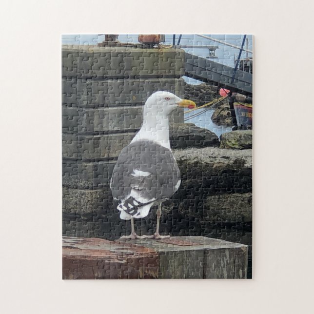 Black-Backed Gull, Isle of Islay, Scotland Jigsaw Puzzle (Vertical)