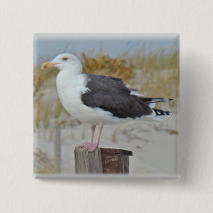 Black Backed Gull Seagull Series 15 Cm Square Badge