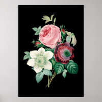 Black background roses bouquet of Redoute print