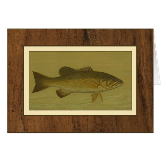 Black Bass on a Green Background (Front Horizontal)
