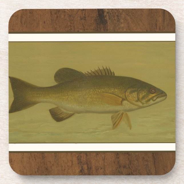 Black Bass on a Green Background Coaster (Front)