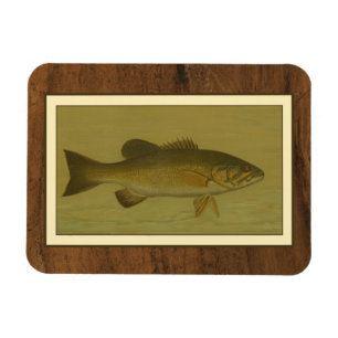 Black Bass on a Green Background Magnet