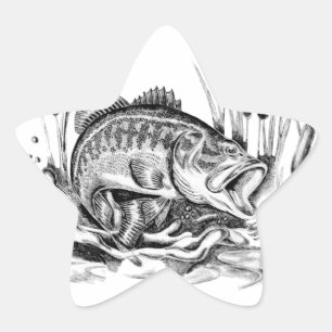 Black bass star sticker