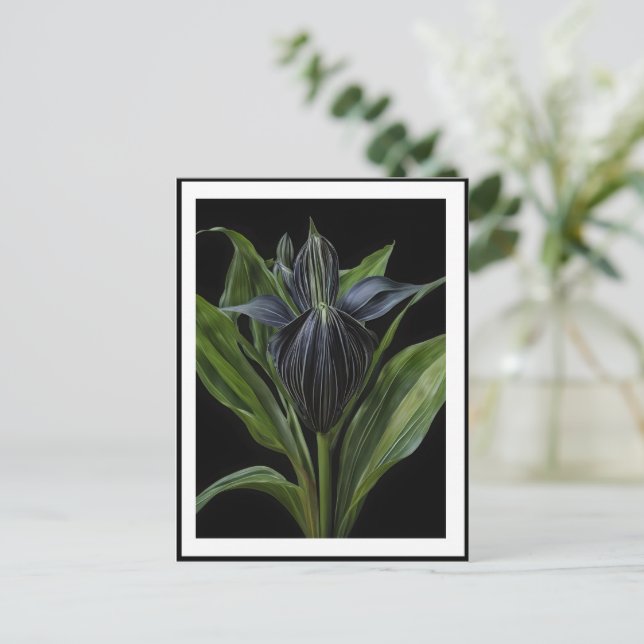 Black Bat Plant On Black, Postcard (Standing Front)