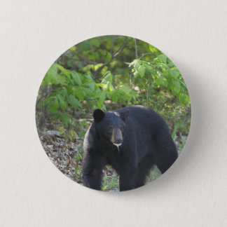 black bear 6 cm round badge