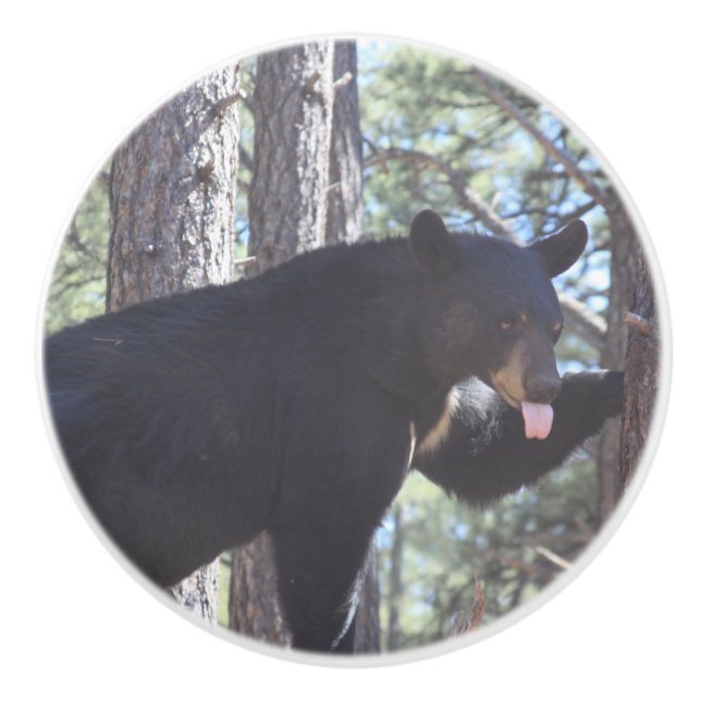 Black Bear Ceramic Knob (Front)