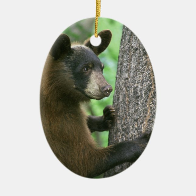 Black Bear Christmas Ornament (Front)