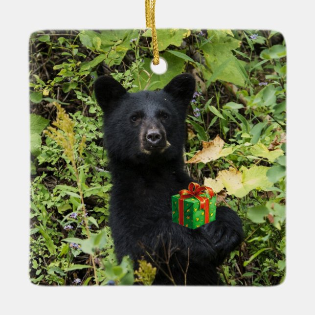  Black Bear Christmas Ornament (Front)