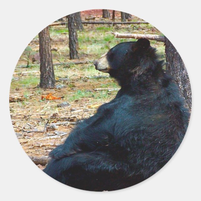 Black bear classic round sticker (Front)