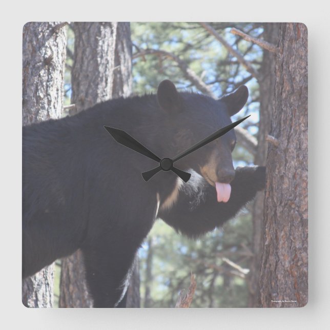 Black Bear Clock (Front)
