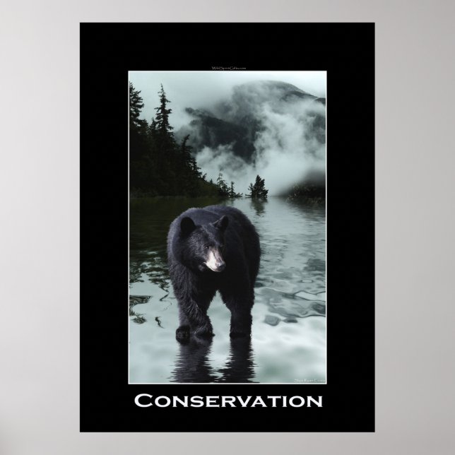 Black Bear CONSERVATION Wildlife Poster (Front)