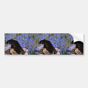 Black Bear Cub Bumper Sticker