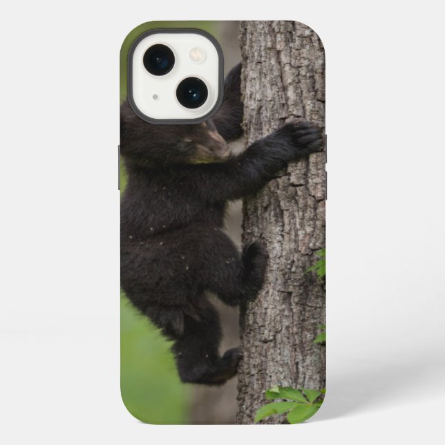 Black Bear Cub Climbing Tree iPhone Case (Back)