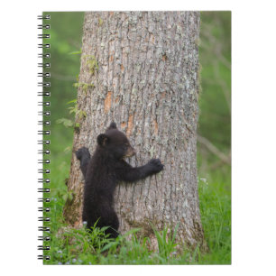 Black Bear Cub Great Smoky Mountains Notebook