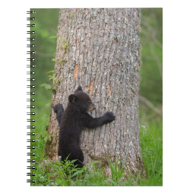 Black Bear Cub | Great Smoky Mountains Notebook (Front)