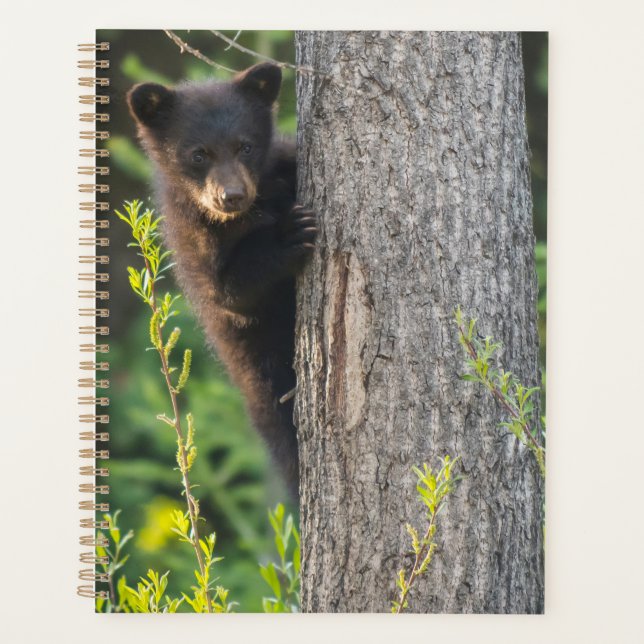 Black Bear Cub in Springtime Planner (Front)