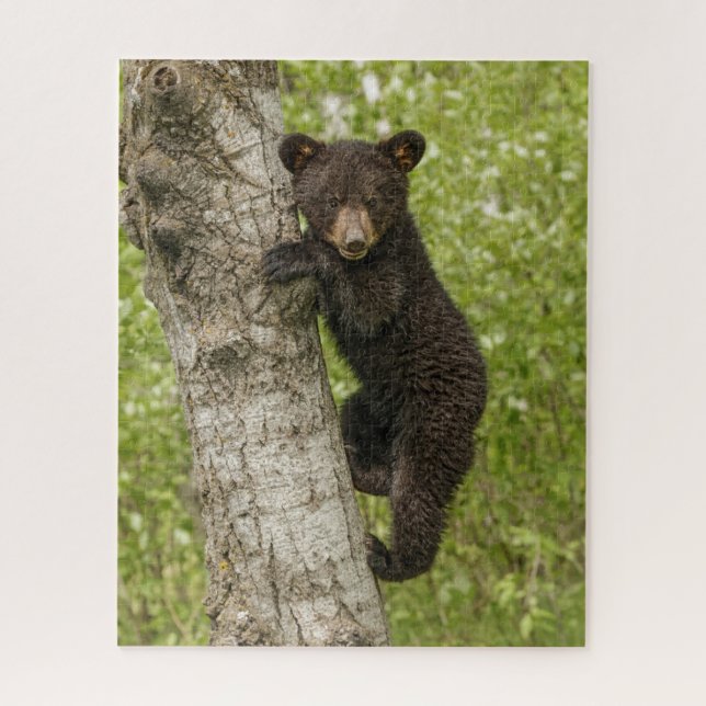 Black Bear cub In Tree Jigsaw Puzzle (Vertical)