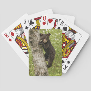 Black Bear Cub in Tree Playing Cards