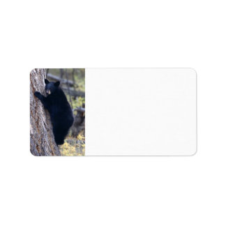 black bear cub label