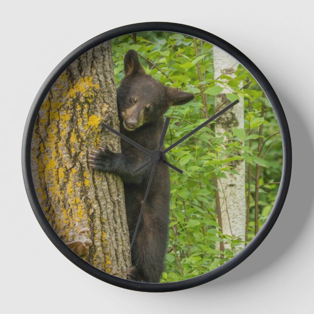 Black Bear Cub | Minnesota Clock (Front)