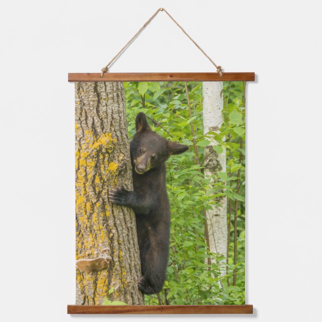 Black Bear Cub | Minnesota Hanging Tapestry (Front)