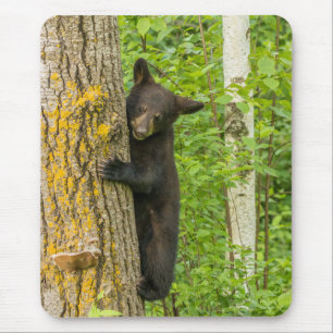 Black Bear Cub   Minnesota Mouse Pad