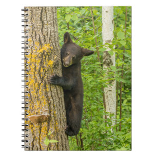 Black Bear Cub Minnesota Notebook