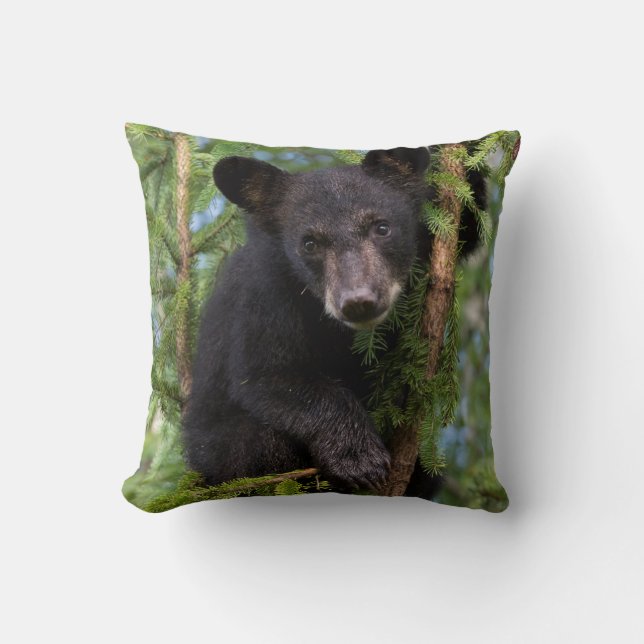 Black Bear Cub Playing in Trees Cushion (Front)