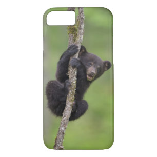 Black bear cub playing, Tennessee iPhone 8/7 Case