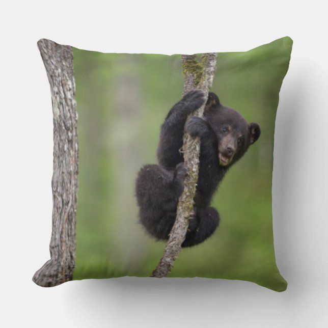 Black bear cub playing, Tennessee Cushion (Front)