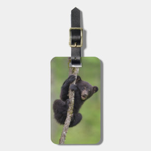 Black bear cub playing, Tennessee Luggage Tag