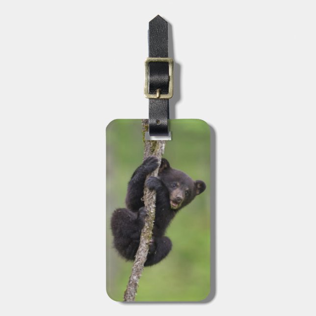Black bear cub playing, Tennessee Luggage Tag (Front Vertical)