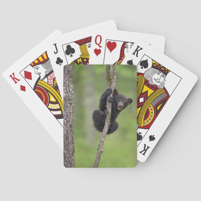 Black bear cub playing, Tennessee Playing Cards (Back)