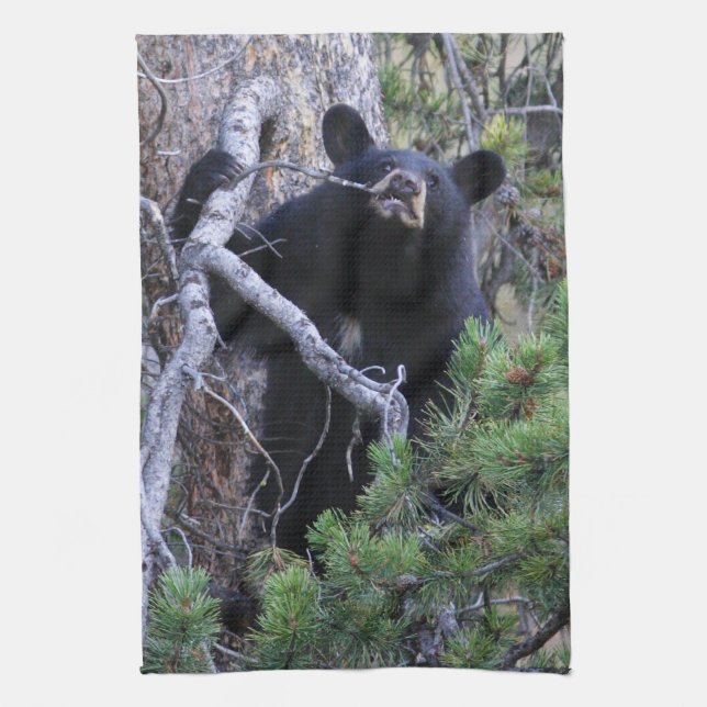 black bear cub tea towel (Vertical)