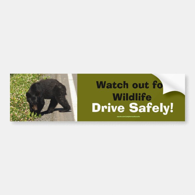 Black Bear Cub Wildlife Supporter Bumper Sticker (Front)