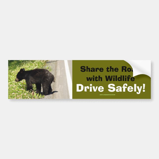 Black Bear Cub Wildlife Supporter Bumper Sticker (Front)