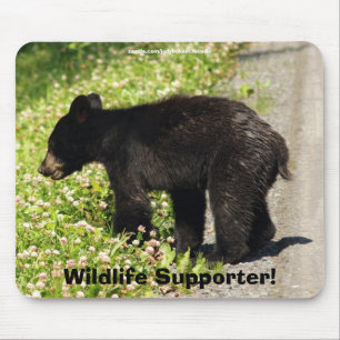 Black Bear Cub Wildlife Supporter Mousepad