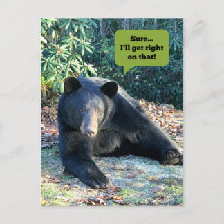 Black Bear - "Cubby Sure I'll get right on that!"  Postcard