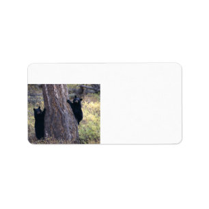 black bear cubs label