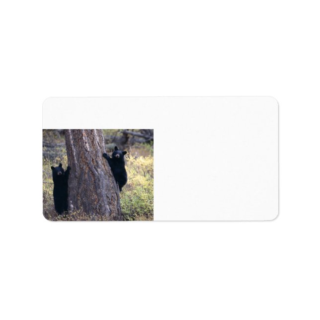 black bear cubs label (Front)