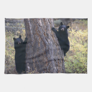 black bear cubs tea towel