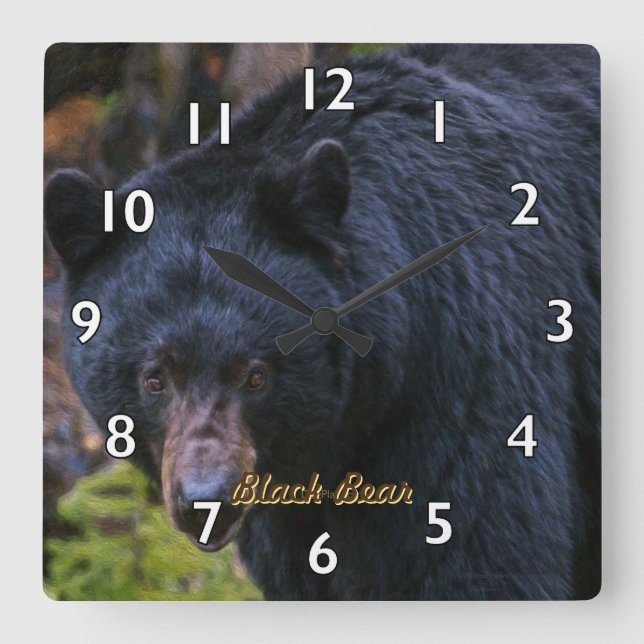 Black Bear Dignity Square Wall Clock (Front)
