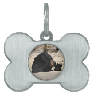 Black Bear enjoying a cool dip Pet Tag