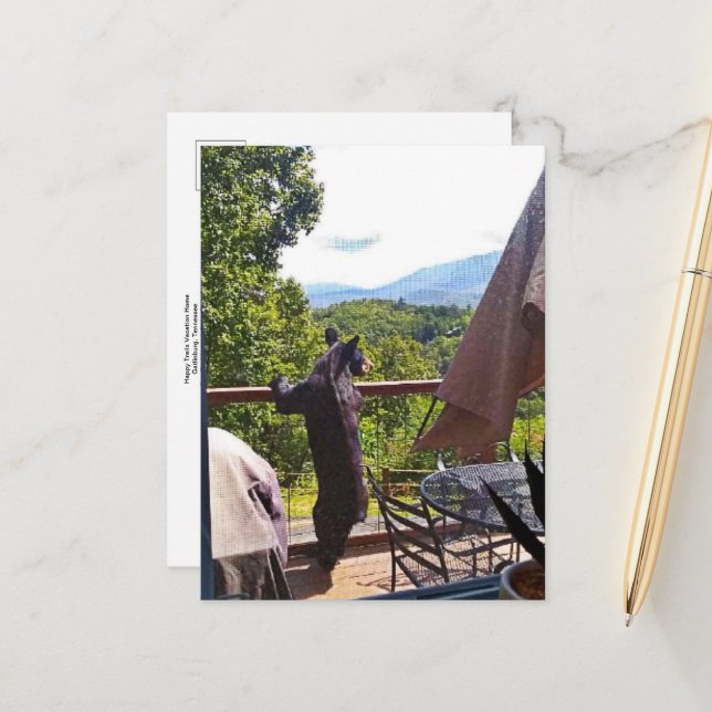 Black Bear Enjoying Views in Gatlinburg Postcard (Front/Back In Situ)