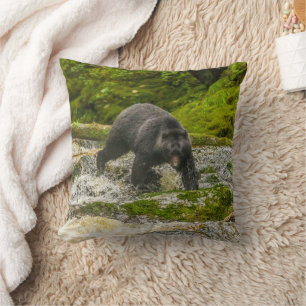 Black Bear Fishing Qua Creek British Columbia Cushion
