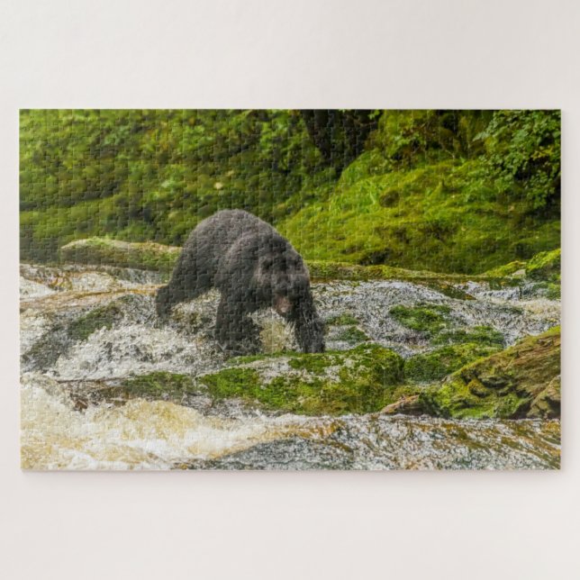Black Bear Fishing | Qua Creek British Columbia Jigsaw Puzzle (Horizontal)