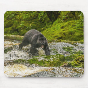 Black Bear Fishing Qua Creek British Columbia Mouse Pad
