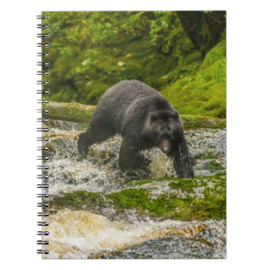 Black Bear Fishing   Qua Creek British Columbia Notebook