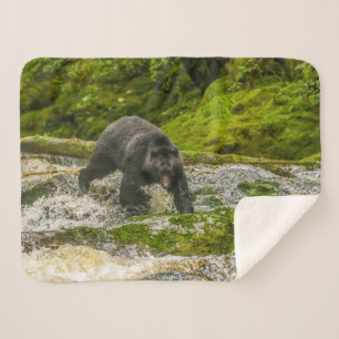 Black Bear Fishing Qua Creek British Columbia Sherpa Blanket